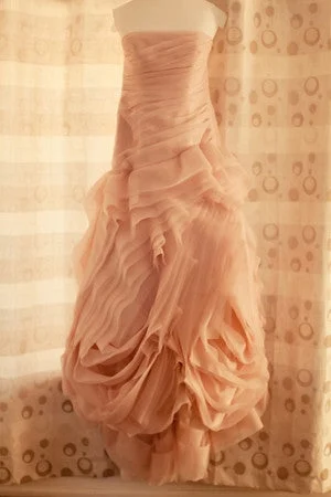 Discount Extravaganza Vera Wang Organza Gown with Bias Flange Skirt VW351011