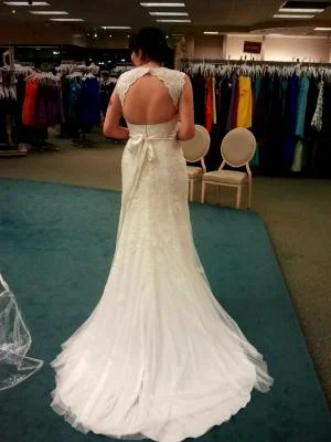 Savings Bonanza David's Bridal VW9768